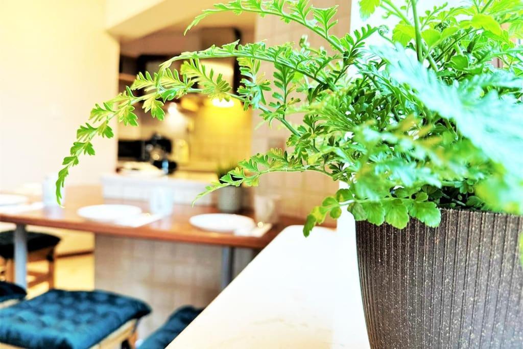 Exclusive Penthouse Near Citycenter 120M2 +Netflix Krakkó Kültér fotó